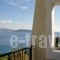 Dionysos Hotel_accommodation_in_Hotel_Piraeus Islands - Trizonia_Agistri_Agistri Rest Areas