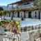Vassiliki Studios_holidays_in_Hotel_Cyclades Islands_Andros_Andros City