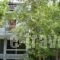 Rex Chasioti_lowest prices_in_Hotel_Central Greece_Fthiotida_Ypati