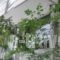 Rex Chasioti_accommodation_in_Hotel_Central Greece_Fthiotida_Ypati