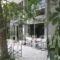 Rex Chasioti_holidays_in_Hotel_Central Greece_Fthiotida_Ypati