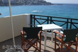 Armenistis View Studios_accommodation_in_Hotel_Aegean Islands_Ikaria_Raches