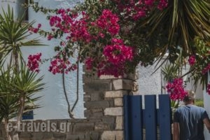 Fotilia Hotel_best prices_in_Hotel_Cyclades Islands_Paros_Piso Livadi