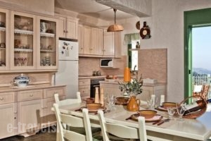 Villa Thetis_best prices_in_Villa_Dodekanessos Islands_Karpathos_Karpathos Chora
