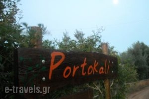Portokali Apartments (12+)_holidays_in_Apartment_Crete_Heraklion_Gouves