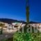 Phoenix Hotel_lowest prices_in_Hotel_Ionian Islands_Zakinthos_Zakinthos Rest Areas