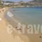 Studios Antiparos Beach_best deals_Hotel_Cyclades Islands_Antiparos_Antiparos Rest Areas