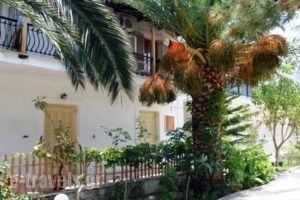 Anthi Studios_accommodation_in_Hotel_Ionian Islands_Zakinthos_Zakinthos Rest Areas