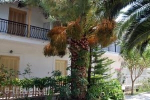 Anthi Studios_holidays_in_Hotel_Ionian Islands_Zakinthos_Zakinthos Rest Areas