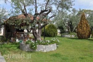 Villa Yioula_holidays_in_Villa_Ionian Islands_Zakinthos_Zakinthos Rest Areas