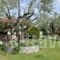 Villa Yioula_lowest prices_in_Villa_Ionian Islands_Zakinthos_Zakinthos Rest Areas