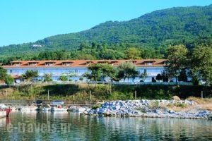 Hotel Vlassis_travel_packages_in_Thessaly_Larisa_Agia