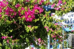Pension George_holidays_in_Hotel_Cyclades Islands_Sandorini_Sandorini Chora