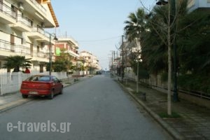 Villa Sokratis_lowest prices_in_Villa_Macedonia_Pieria_Olympiaki Akti