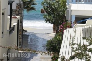 Theofanis Studios_accommodation_in_Hotel_Cyclades Islands_Naxos_Agia Anna