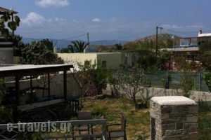 Studios Vangelis_holidays_in_Hotel_Cyclades Islands_Naxos_Naxos chora