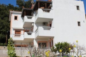 Studio Anna_lowest prices_in_Hotel_Sporades Islands_Skopelos_Neo Klima - Elios
