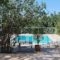 Chrysiida Suites_best deals_Hotel_Crete_Chania_Fournes