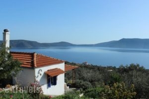 Mourtero House_accommodation_in_Hotel_Sporades Islands_Skopelos_Stafylos