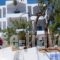 Christine Studios_holidays_in_Hotel_Piraeus Islands - Trizonia_Poros_Poros Chora