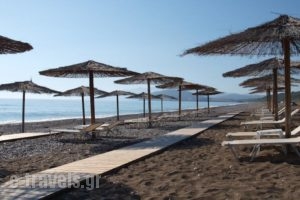 Thalatta Seaside Hotel_holidays_in_Hotel_Central Greece_Evia_Limni