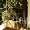 The Garden House_best deals_Hotel_Thessaly_Magnesia_Almiros