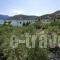 Harry'S Paradise_best deals_Hotel_Dodekanessos Islands_Kalimnos_Kalimnos Chora