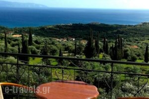 Aristea Studios_best deals_Hotel_Ionian Islands_Kefalonia_Kefalonia'st Areas