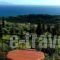 Aristea Studios_best deals_Hotel_Ionian Islands_Kefalonia_Kefalonia'st Areas