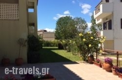Vassilis Studios_s __1