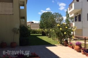 Vassilis Studios_accommodation_in_Hotel_Central Greece_Evia_Neos Pyrgos