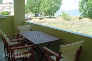 Vassilis Studios_travel_packages_in_Central Greece_Evia_Neos Pyrgos