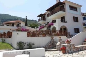 Pleoussa Studio and Apartments_accommodation_in_Apartment_Sporades Islands_Skopelos_Skopelos Chora