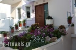 Veggie Garden Athens B&B_s __1