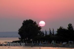 Gerakina Skala Holiday Houses_travel_packages_in_Macedonia_Halkidiki_Poligyros