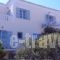 Mimoza_best deals_Hotel_Piraeus Islands - Trizonia_Spetses_Spetses Chora