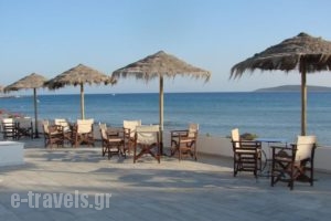 Galatis Hotel_best deals_Hotel_Cyclades Islands_Paros_Paros Rest Areas