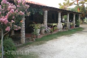 Develiki Rooms for Rent_accommodation_in_Room_Macedonia_Halkidiki_Ierissos