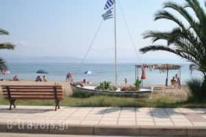 Haus Niko_best deals_Hotel_Macedonia_Halkidiki_Nea Moudania