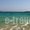 Blue Dolphin_holidays_in_Hotel_Cyclades Islands_Antiparos_Antiparos Chora