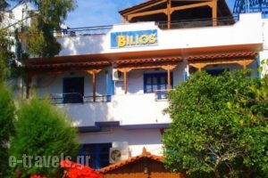 Studio Bilios_accommodation_in_Hotel_Aegean Islands_Ikaria_Ikaria Chora