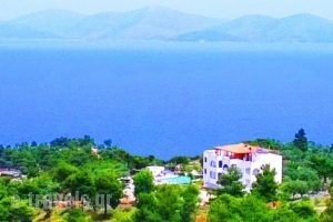 Villa Agnanti Boutique_accommodation_in_Villa_Piraeus Islands - Trizonia_Aigina_Marathonas