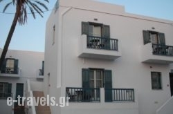 Finikas Studios_s __2