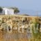 Marathakis Apartments_best deals_Apartment_Crete_Chania_Galatas