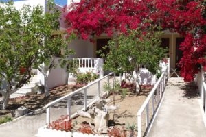 Scarpantos_best prices_in_Hotel_Dodekanessos Islands_Karpathos_Karpathos Chora