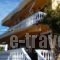 Liberty II_accommodation_in_Hotel_PiraeusIslands - Trizonia_Aigina_Aigina Chora