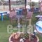 Elounda Sunrise Apartments_best prices_in_Apartment_Crete_Lasithi_Aghios Nikolaos