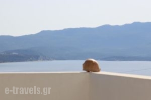 Margarita Rooms_best prices_in_Room_Cyclades Islands_Milos_Milos Chora
