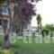Rena's House_best deals_Hotel_Peloponesse_Achaia_Kalogria