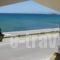 Maravelias House_best deals_Hotel_Peloponesse_Lakonia_Neapoli